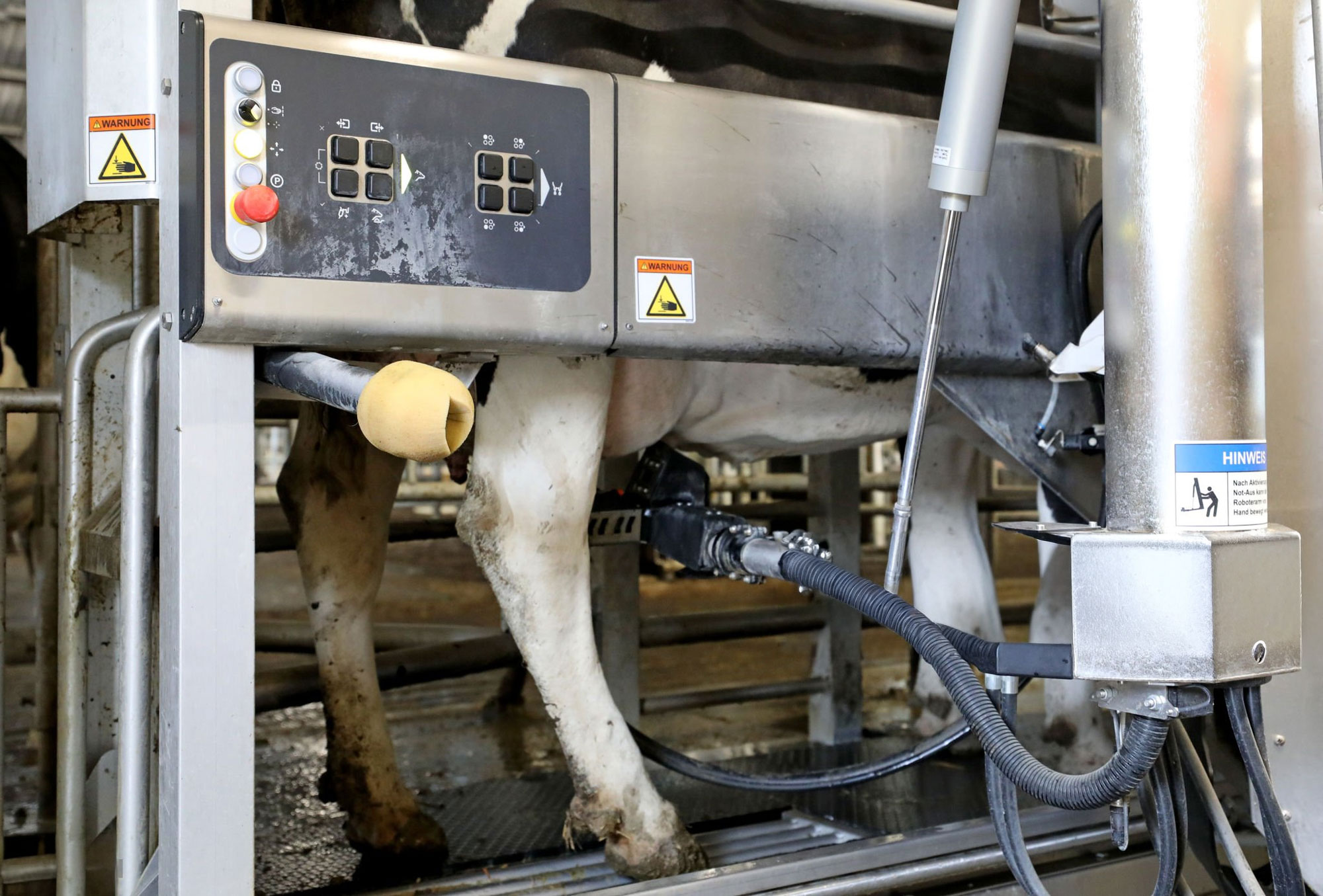 Robotic Milking Efficiency