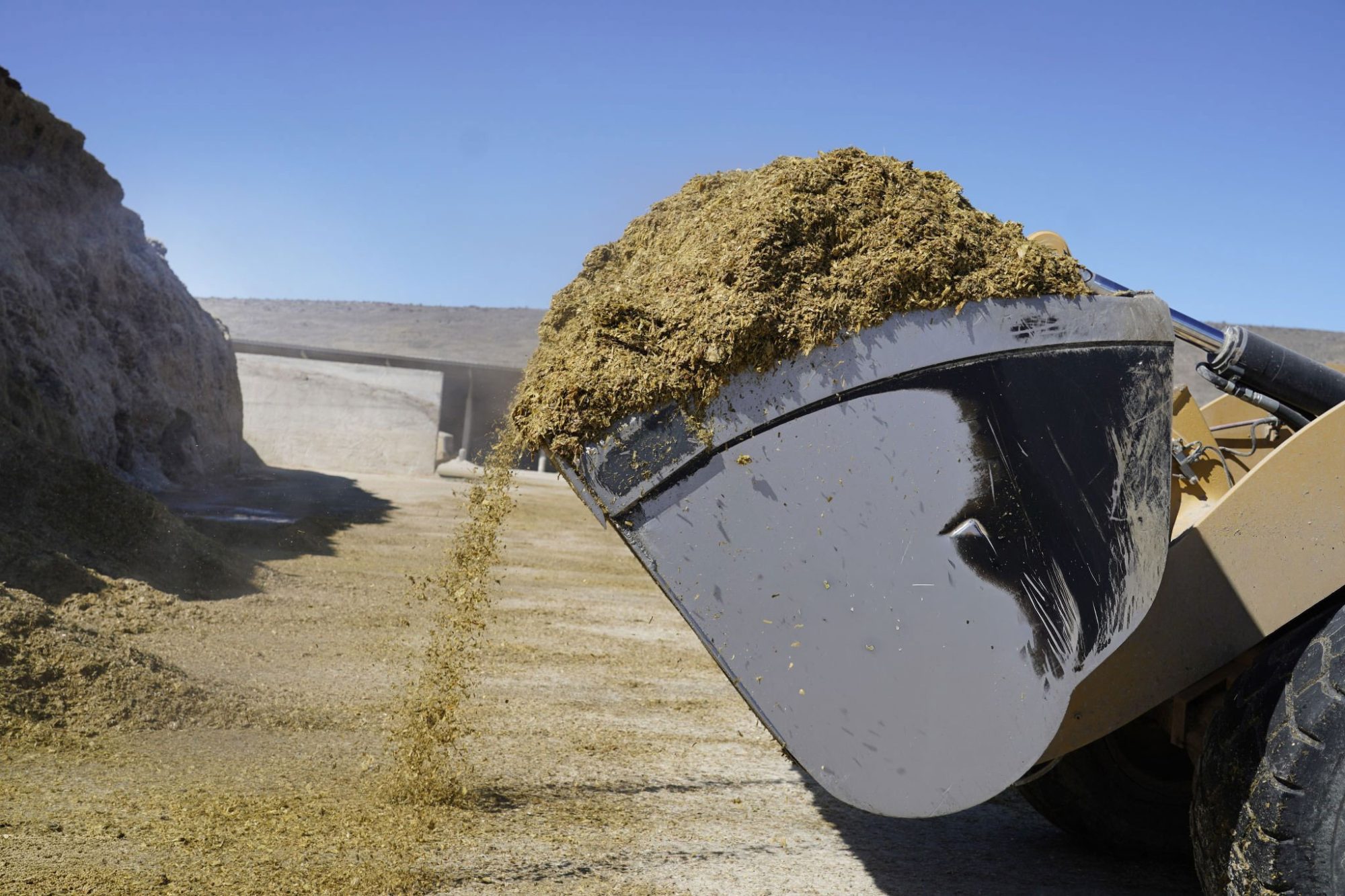 2026 dairy profit margins