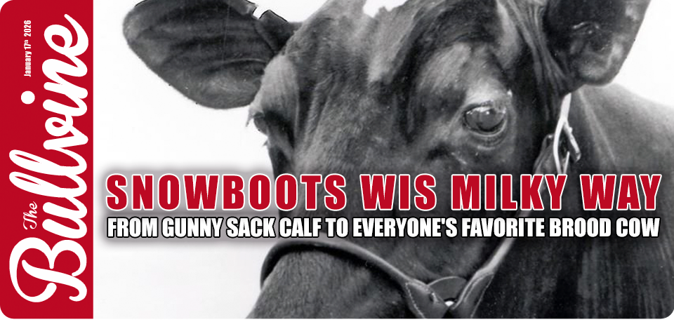 Snowboots Wis Milky Way: From Gunny Sack Calf to E&hellip;