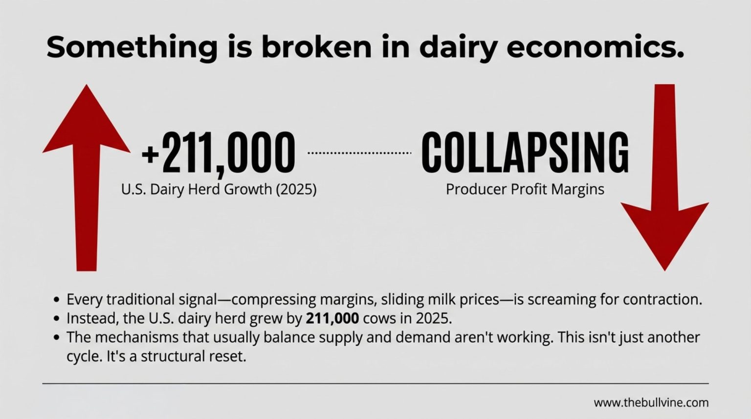 211,000 More Dairy Cows. Bleeding Margins. The 2026 Math That Won’t Wait.