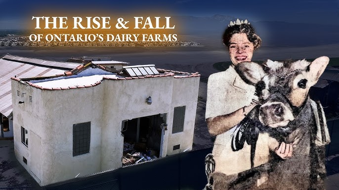 Land Worth More Than Milk