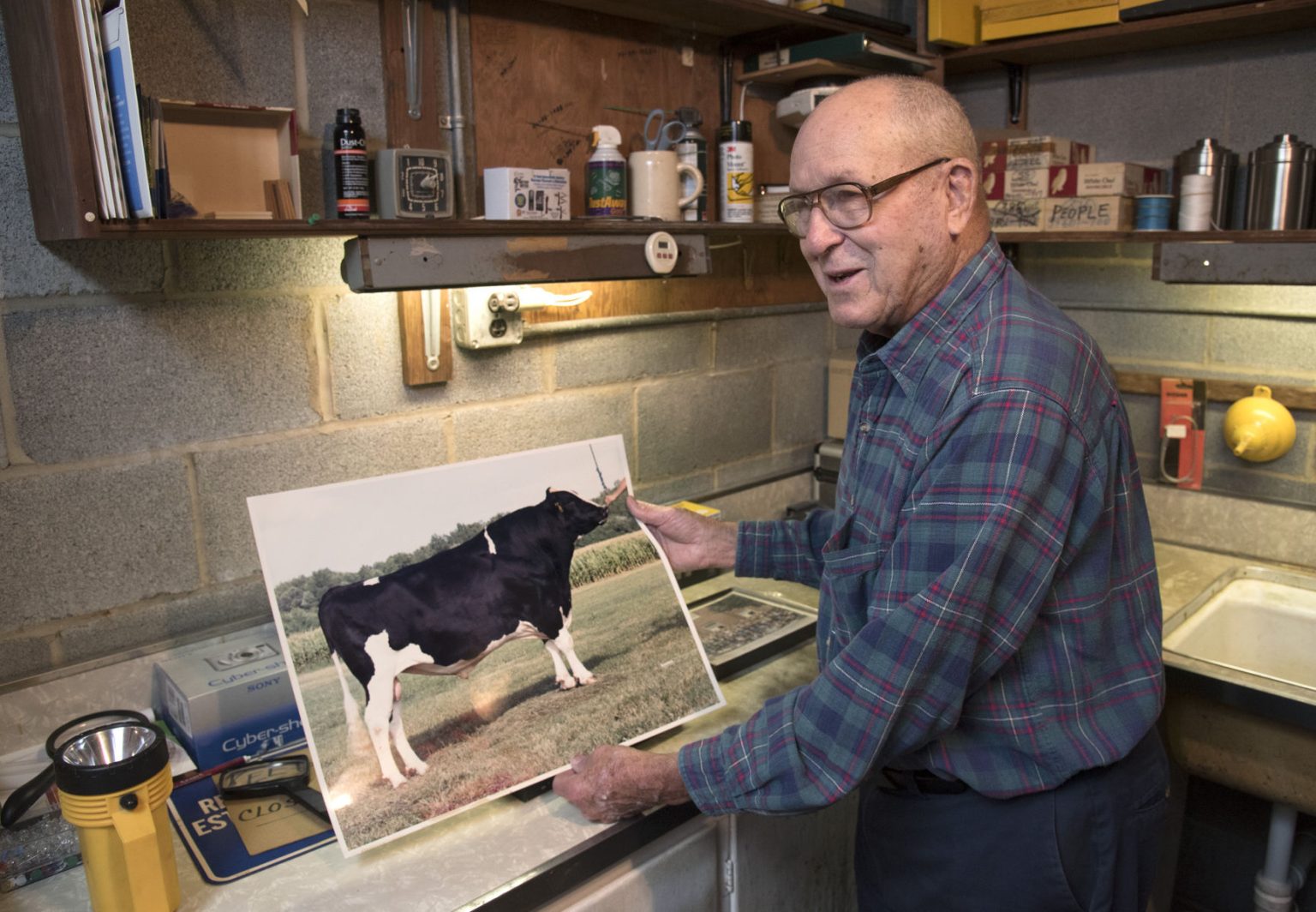 Before genomics, one photo could make or break a young sire. Jack ...
