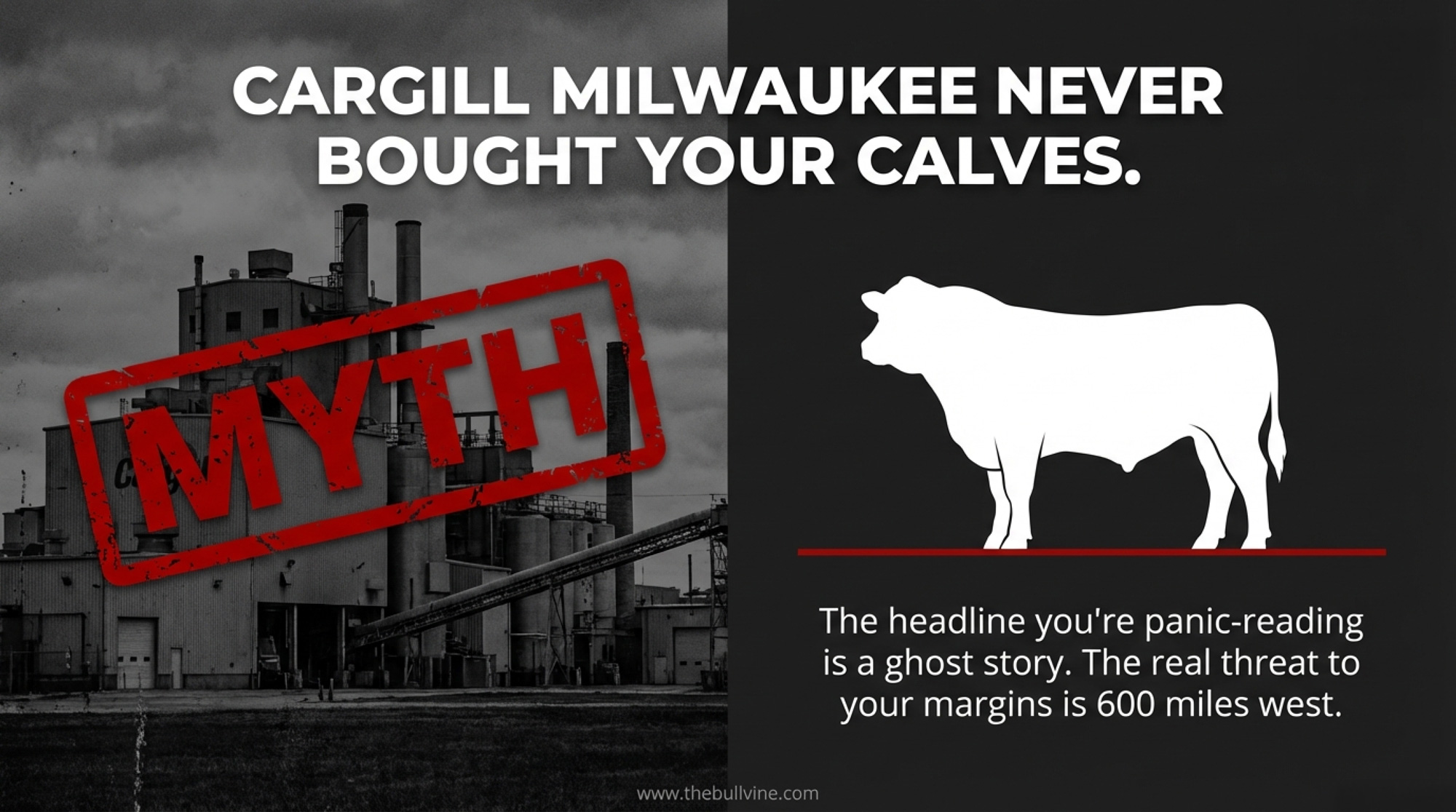 Beef-on-Dairy Packer Risk