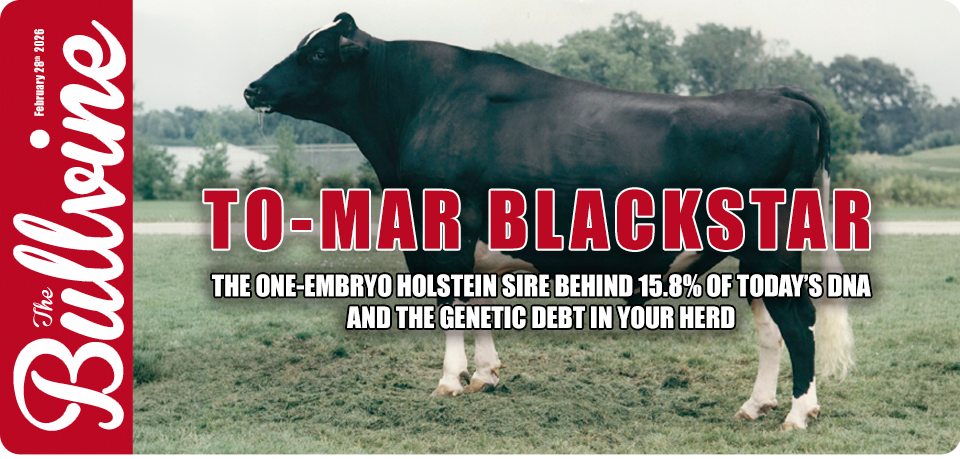 To-Mar Blackstar