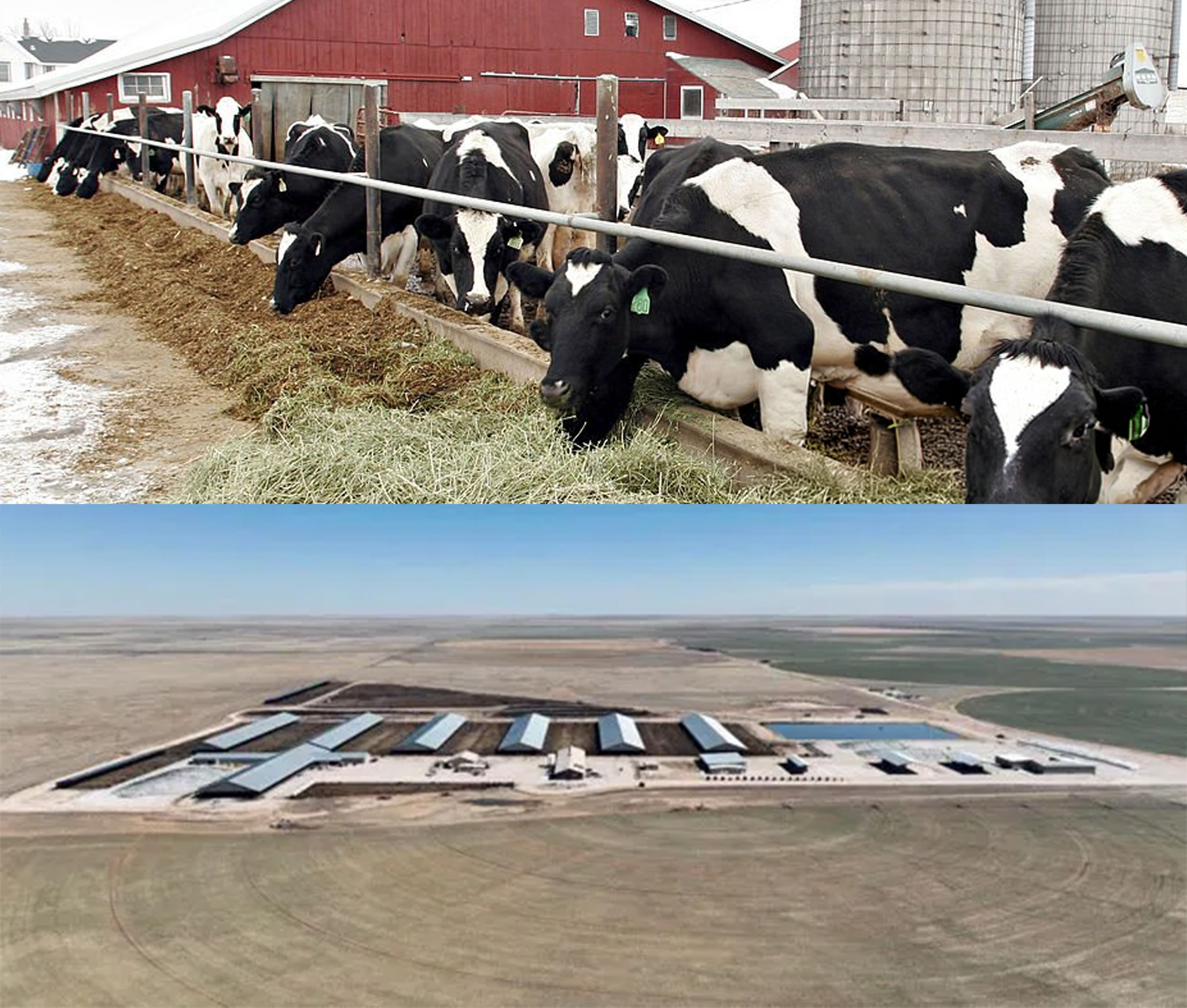 dairy processing gravity wells