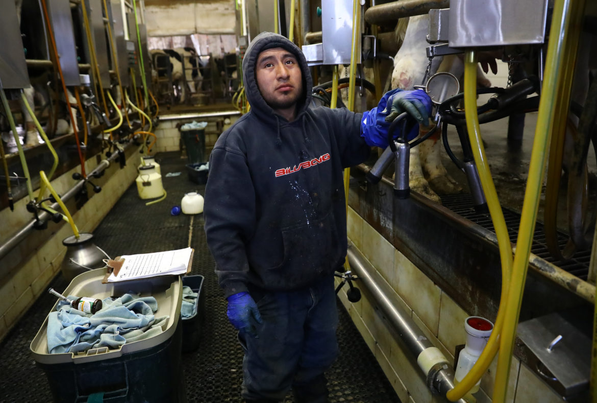 dairy labor crisis