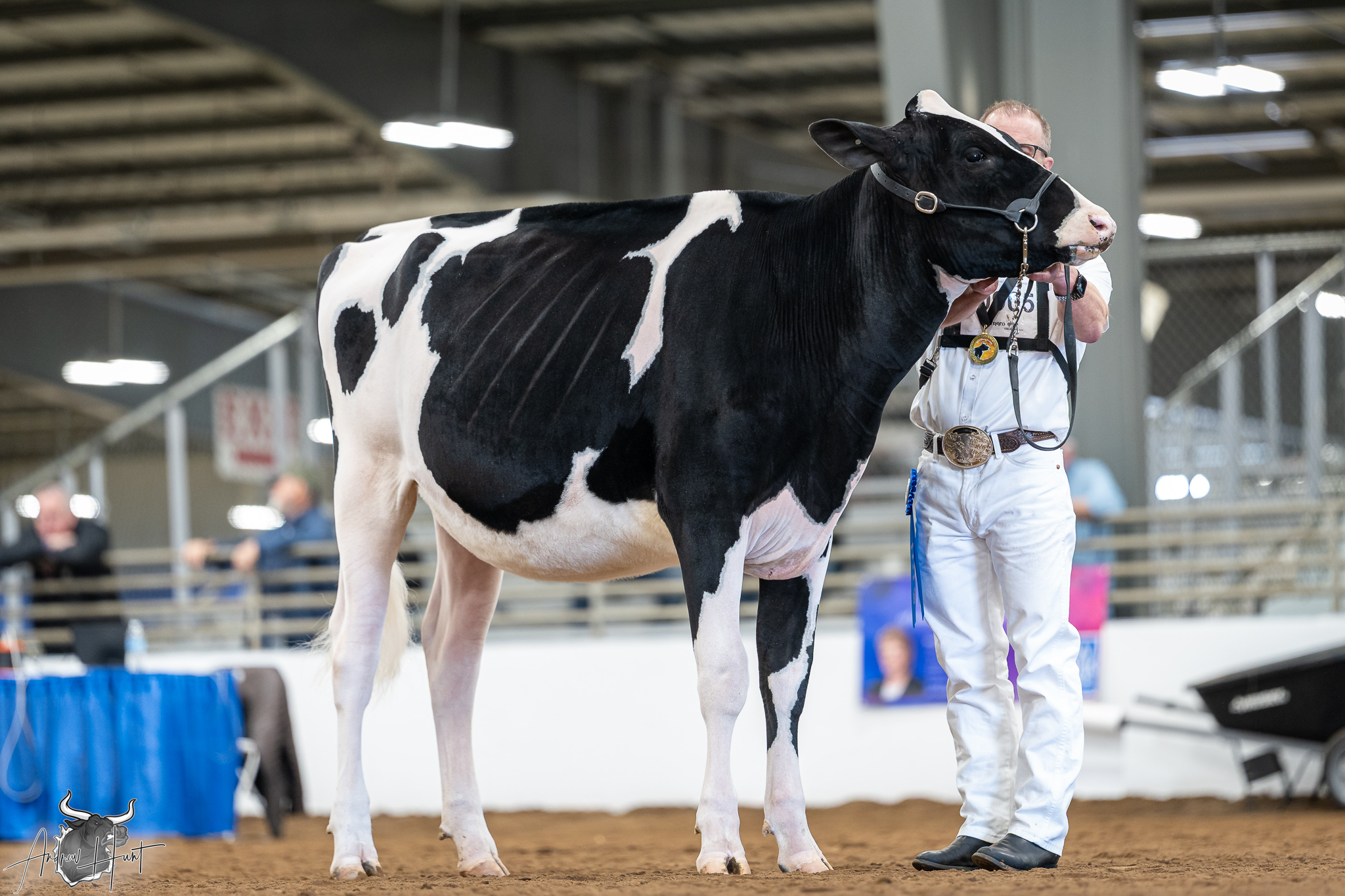 New York Spring – Northeast Spring National Holste&hellip;