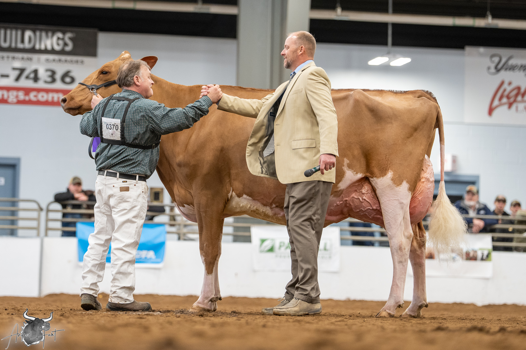 Northeast National Red & White Show – New York&hellip;