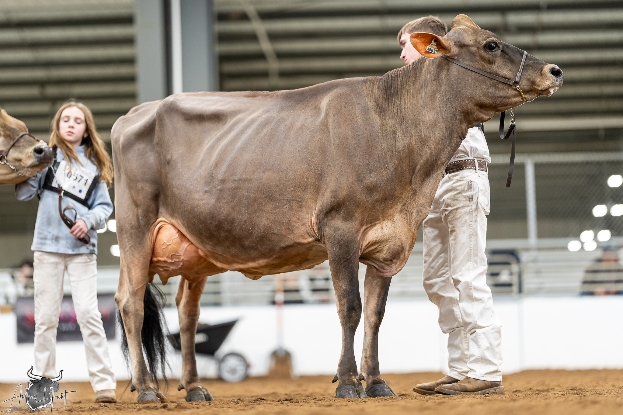 New York Spring Jersey Show 2026