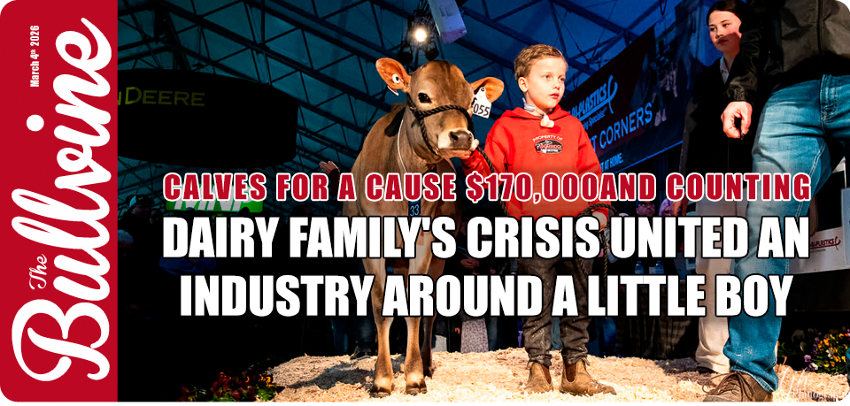 Calves for a Cause $170,000 and Counting: How One&hellip;