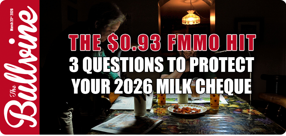 The $0.93 FMMO Hit: 3 Questions to Protect Your 20&hellip;