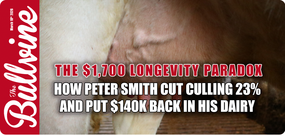 The $1,700 Longevity Paradox: How One 1,700-Cow Da&hellip;