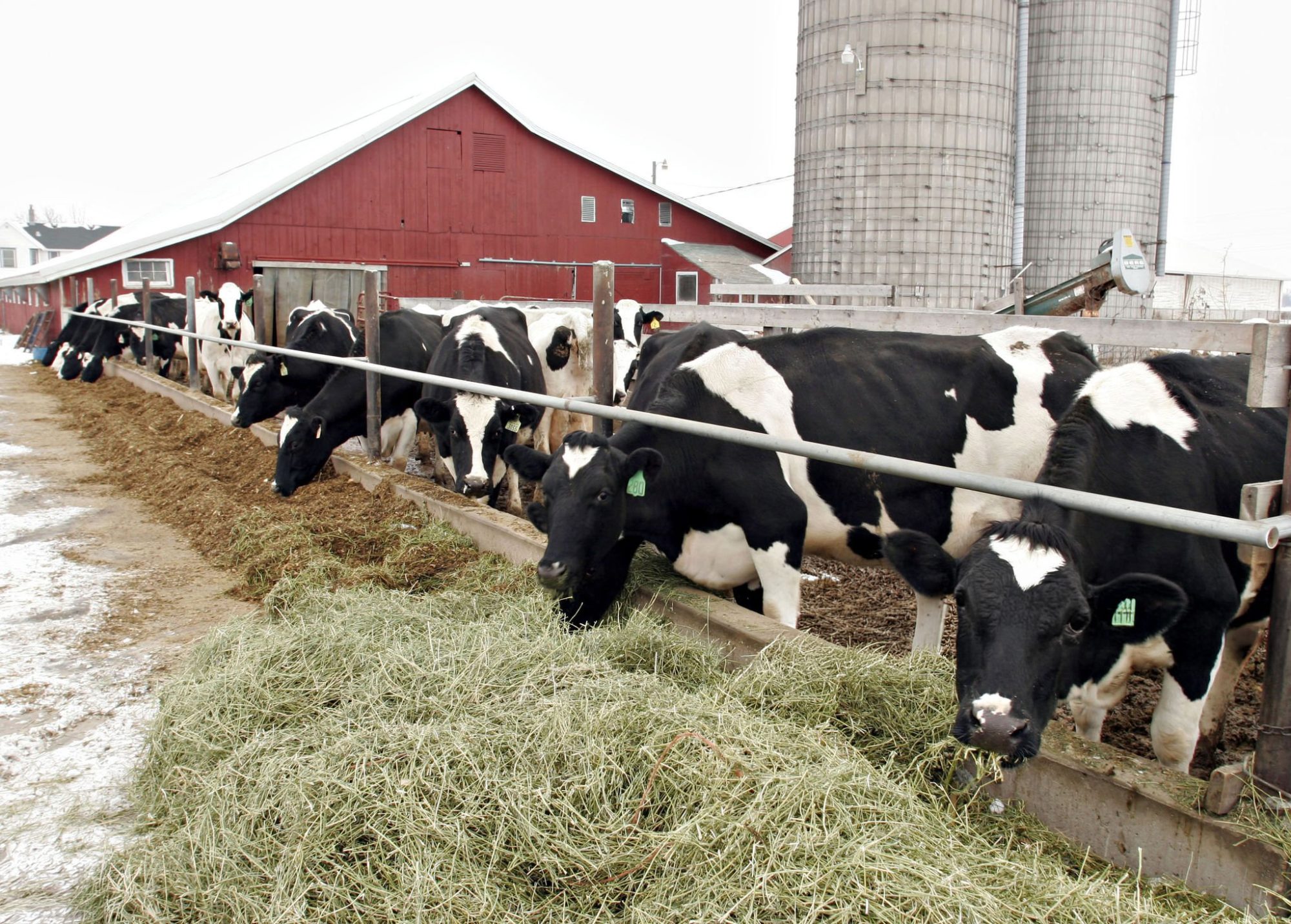 Negative DCAD monitoring