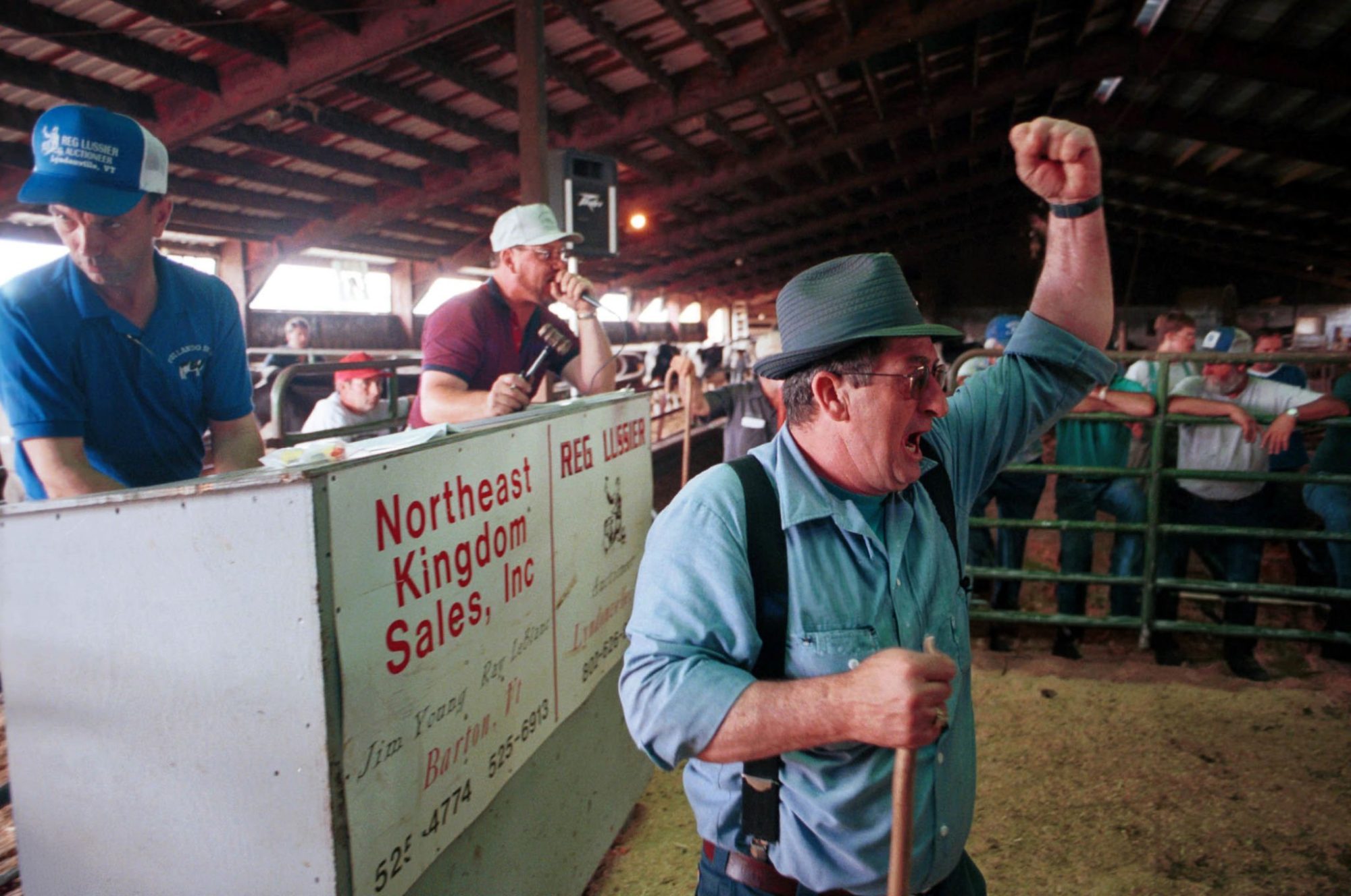 Dairy heifer shortage