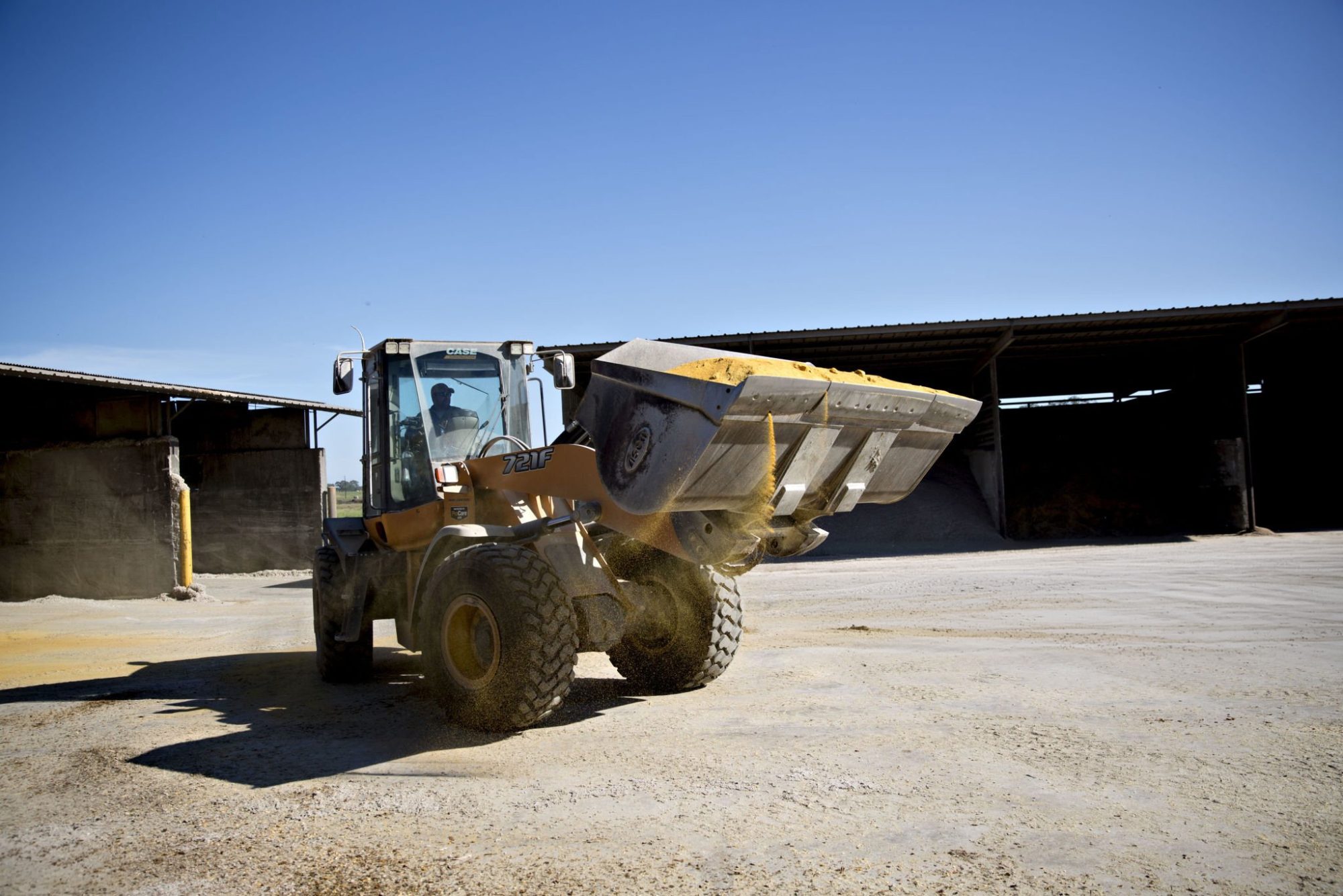 Dairy feed efficiency