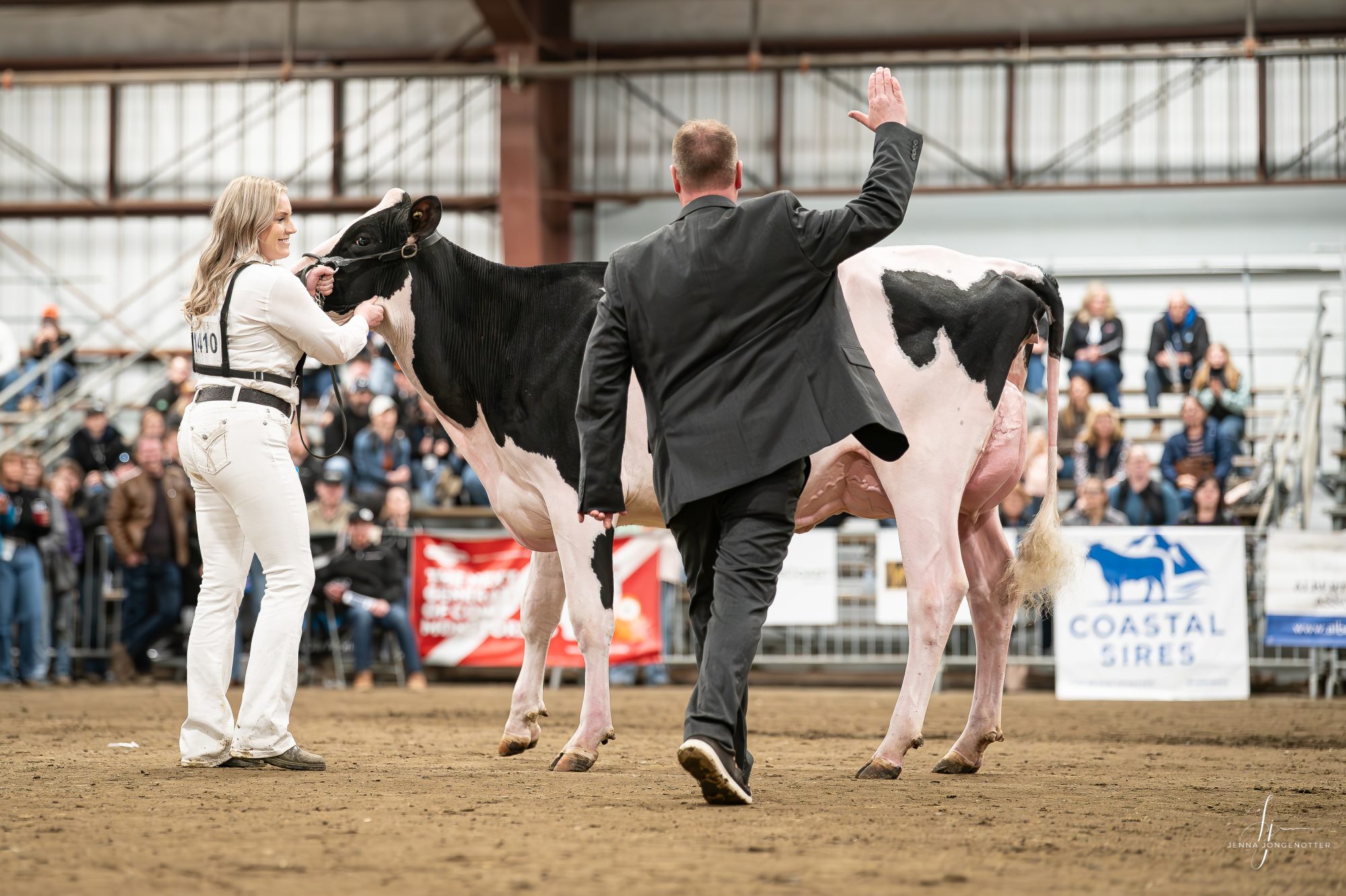 INTERMEDIATE & RESERVE GRAND CHAMPION — 2026 BC Holstein Spring Show: BUTLERVIEW AMZN ALL AMOR-ET gets the tap from Jamie Black in the Winter Two-Year-Old class, owned by Westcoast Holsteins, Butlerview Farms, Walker Dairy and Clarkvalley. A level udder floor, textbook teat placement and a stride that stayed true every lap made her the day's Overall Bred & Owned Champion.