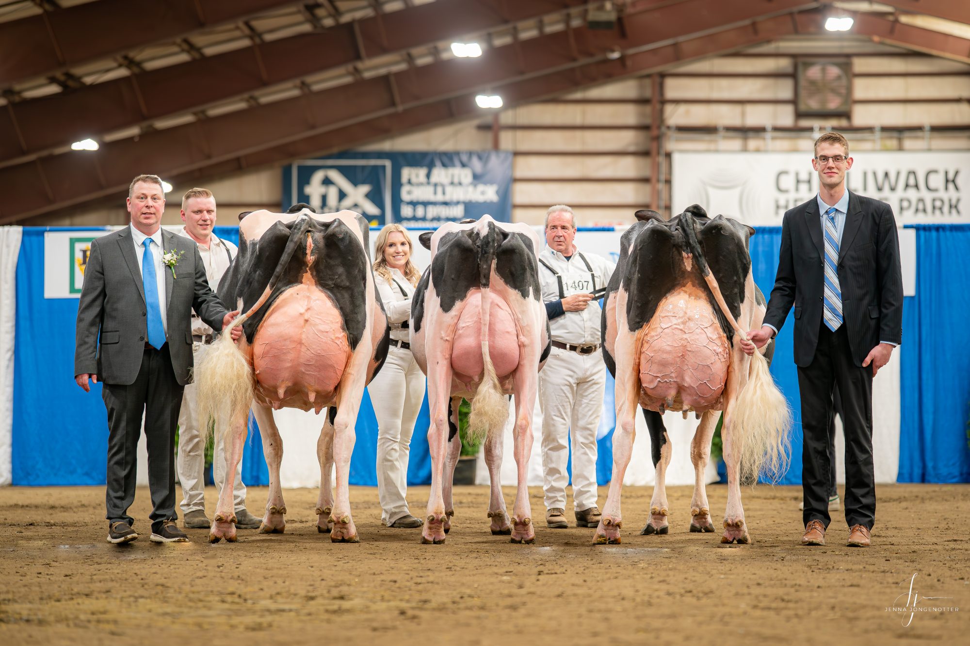 THE CHAMPIONSHIP LINEUP — 2026 BC Holstein Spring Show: Three udders, one conversation. Grand Champion WEST-ADUB LAMBDA SADIE (Westcoast Holsteins), Reserve Grand BUTLERVIEW AMZN ALL AMOR-ET (Westcoast, Butlerview, Walker Dairy, Clarkvalley) and Honourable Mention JENDRO DELTA LAMBDA SANDY (R & F Livestock, Walker Dairy) line up rear-view for Judge Jamie Black in Chilliwack.