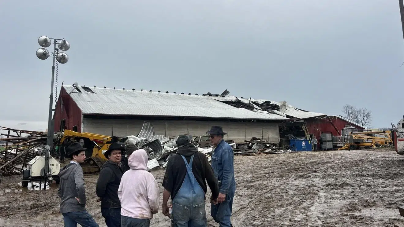 dairy farm insurance