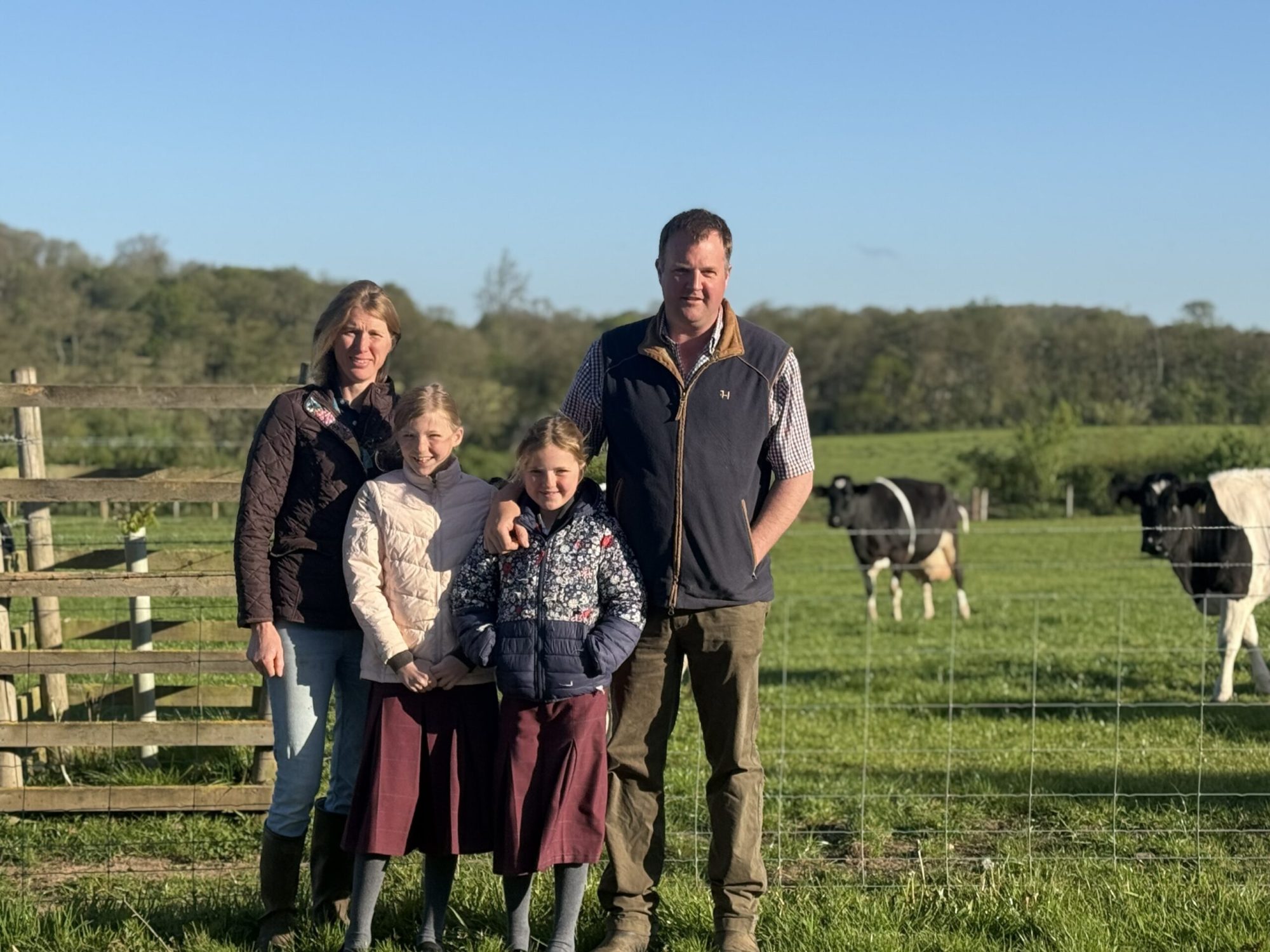 Beaufort British Friesians