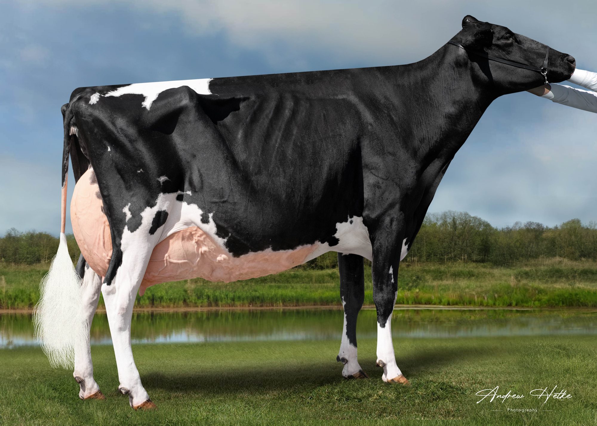 Star of the Breed