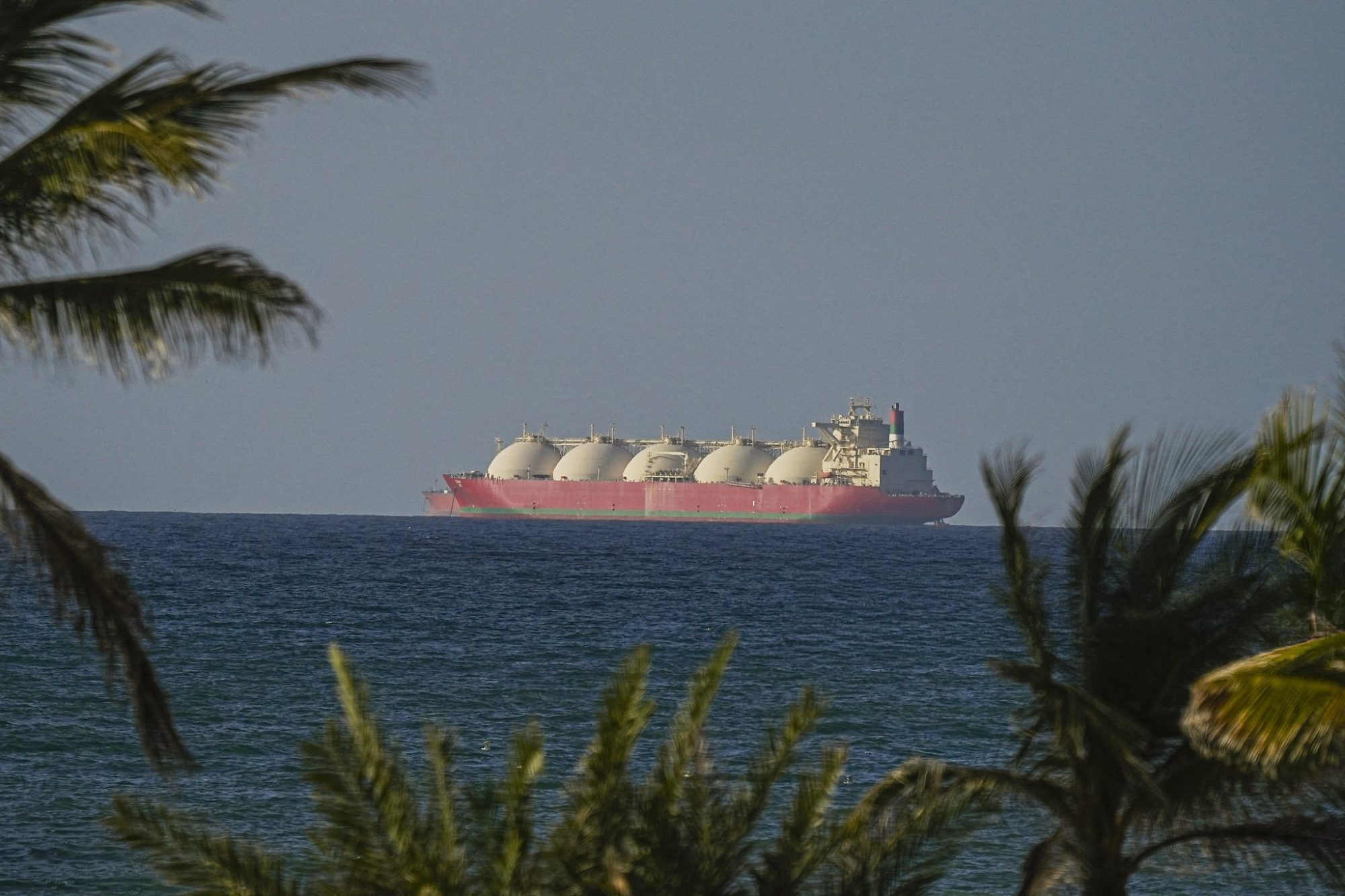 Dairy expansion risk