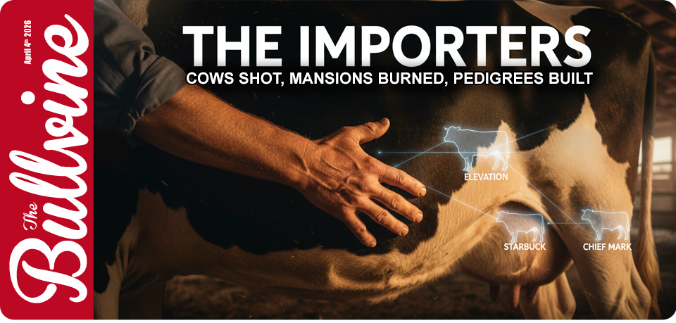 The Importers: Cows Shot, Mansions Burned, Pedigre&hellip;