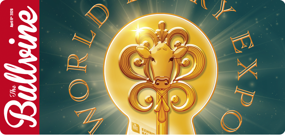 From 65 Cows to 10,000, the Bull Nobody Wanted, an&hellip;