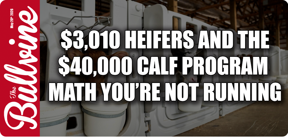 $3,010 Heifers and the $40,000 Calf Program Math Y&hellip;