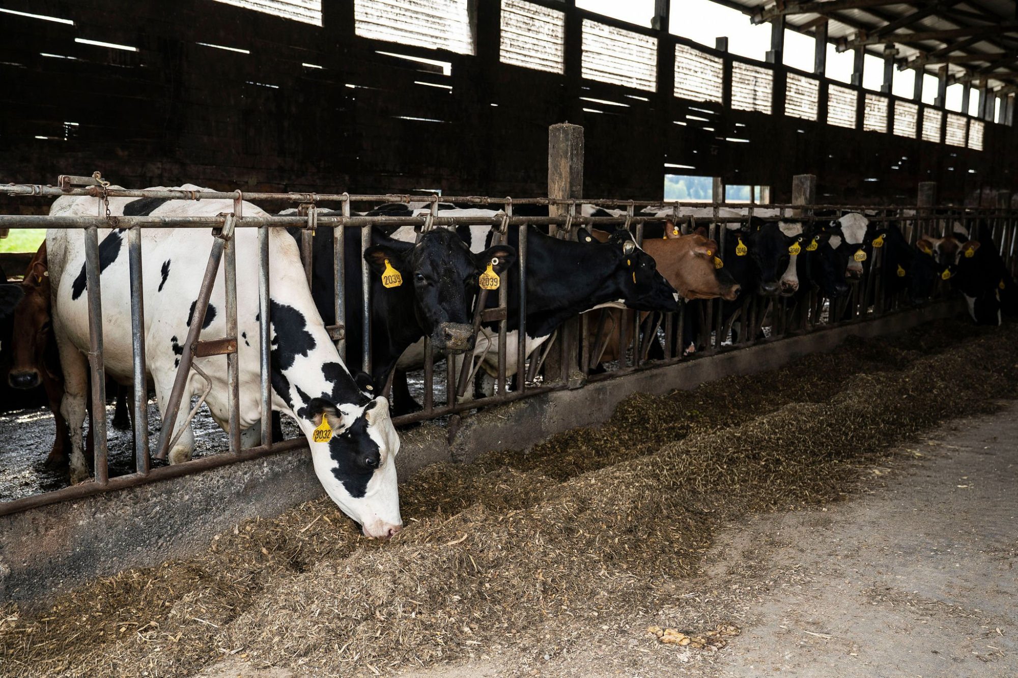 hydrogenobody methane contract