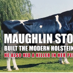 Maughlin Storm HCD