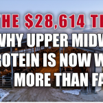 milk protein pricing