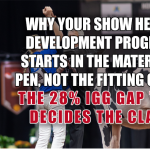 show heifer development