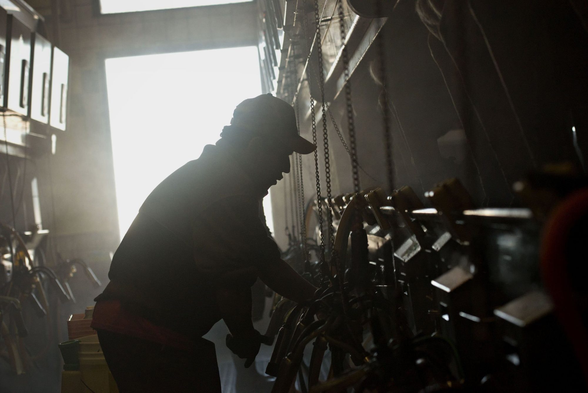 Dairy worker retention