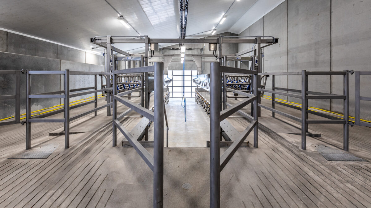 dairy I-9 audit