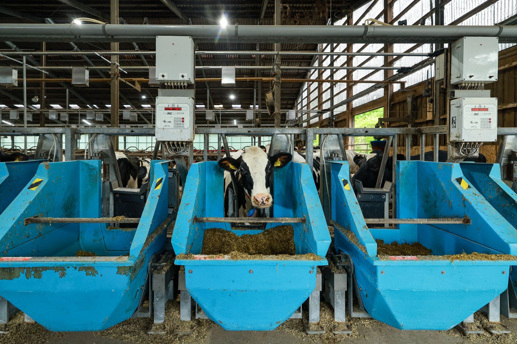 feed efficiency vs methane additives