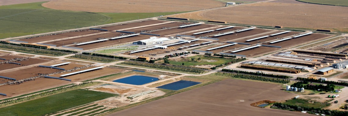 Kansas dairy expansion