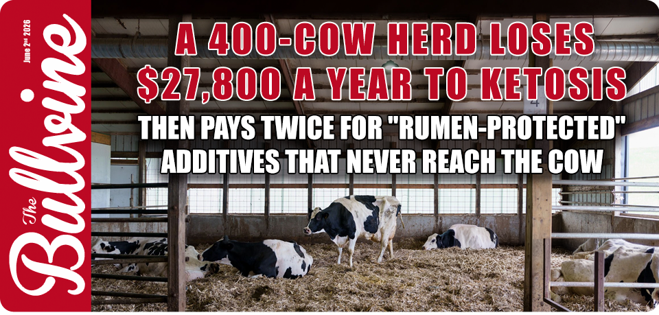 A 400-Cow Herd Loses $27,800 a Year to Ketosis – T&hellip;