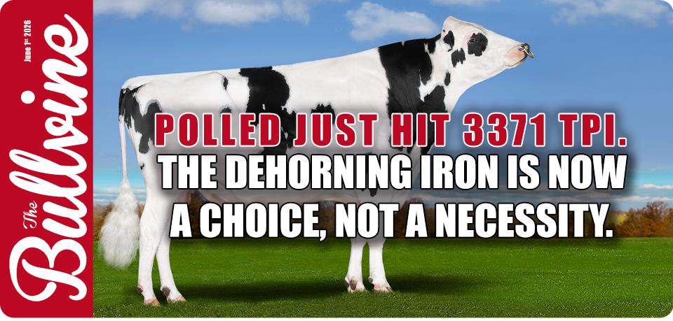 Polled Just Hit 3371 TPI. The Dehorning Iron Is No&hellip;
