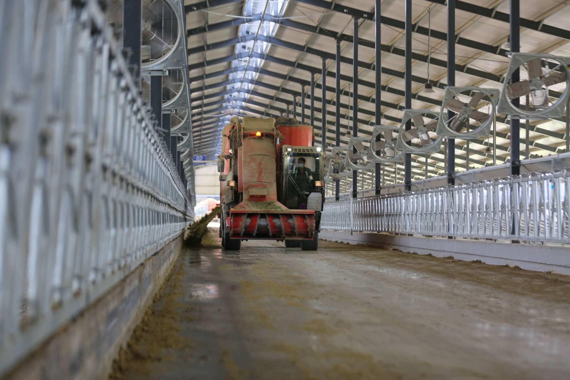 income over feed cost