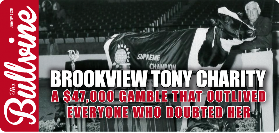 Brookview Tony Charity