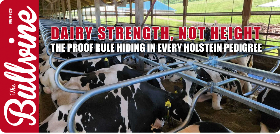 Dairy Strength, Not Height: The Proof Rule Hiding&hellip;