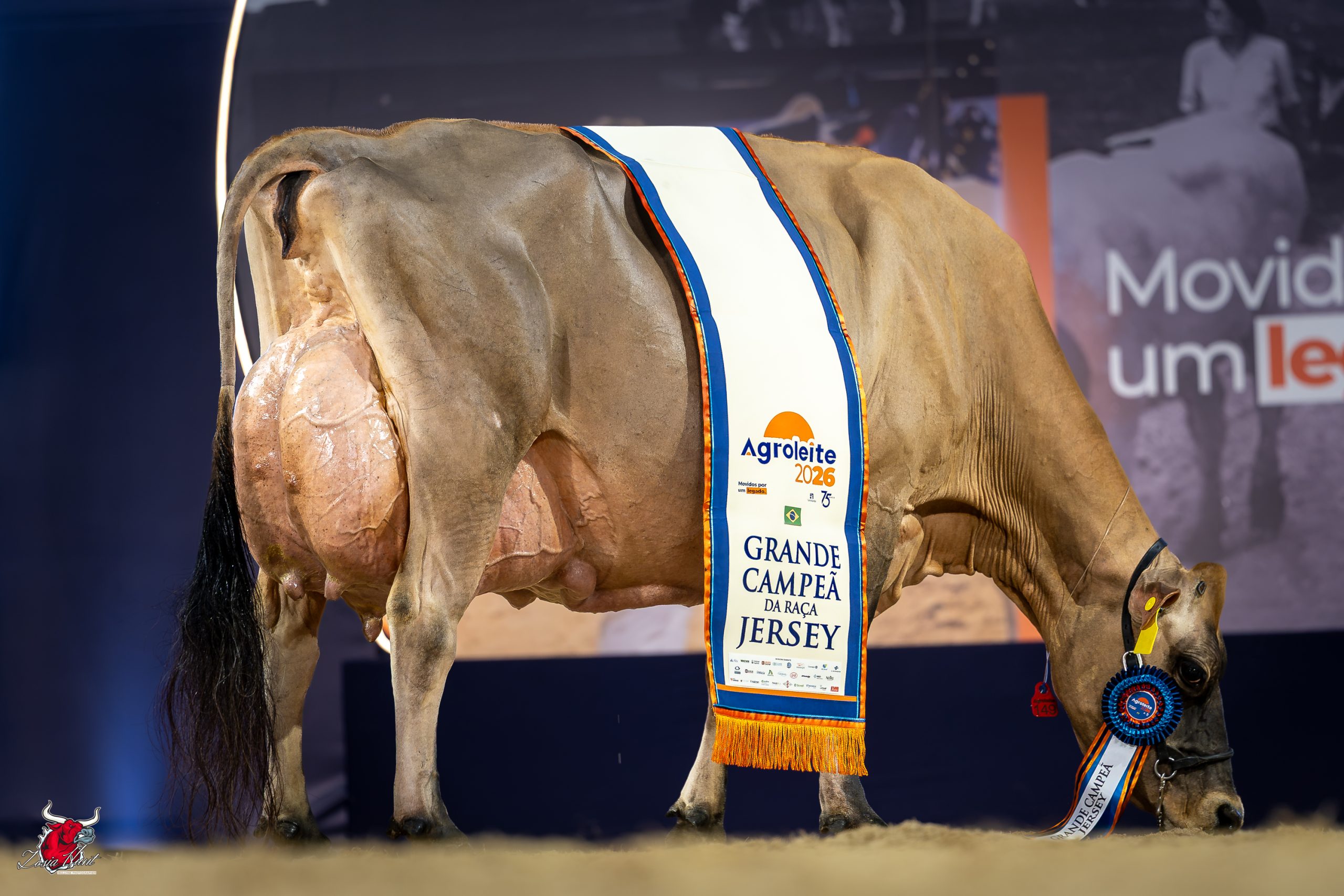AGROLEITE 2026 | Jersey Show 