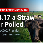 polled semen break-even