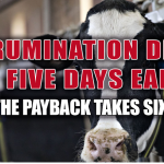 precision dairy monitoring ROI