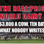 World Dairy Expo cost