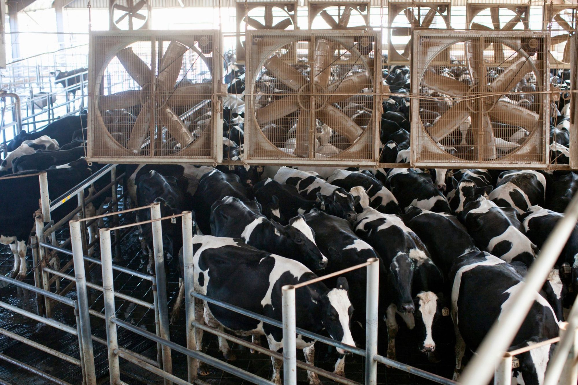 olding pen cooling