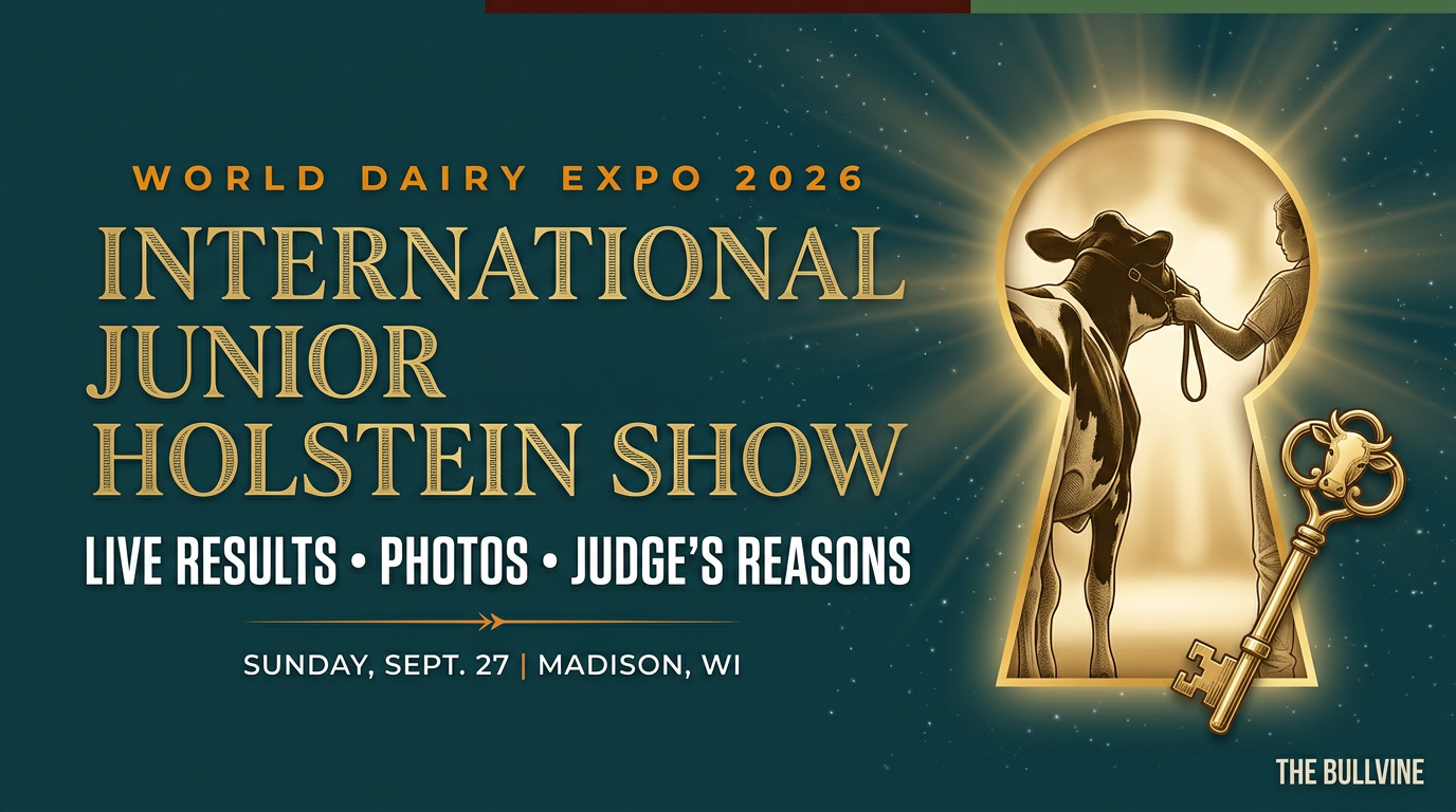 International Junior Holstein Show – World Dairy E&hellip;
