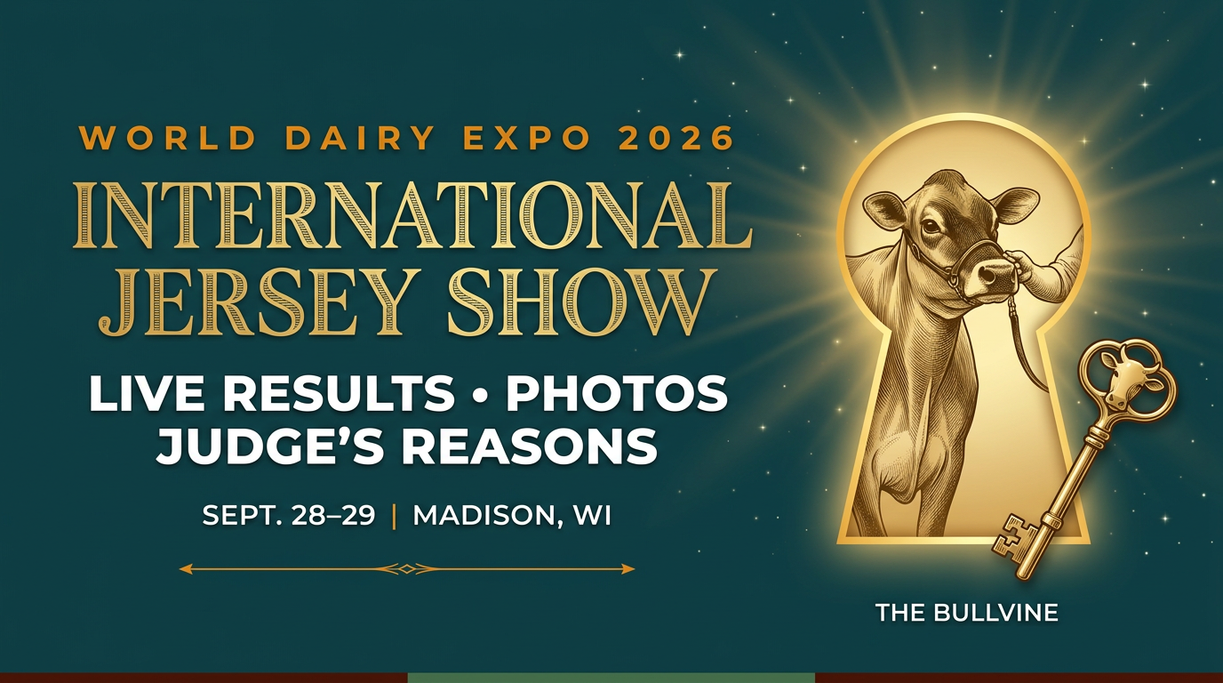 International Jersey Show – World Dairy Expo 2026