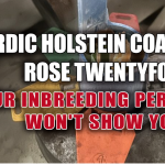 Holstein coancestry