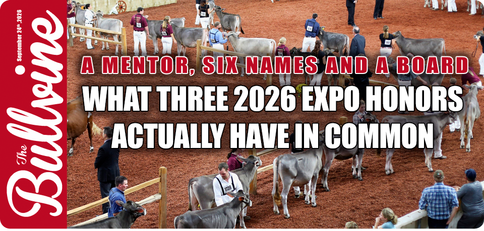 A Mentor, Six Names and a Board: What Three 2026 E&hellip;